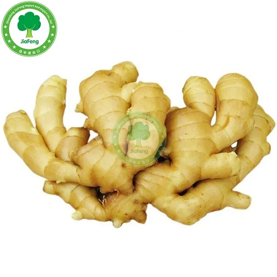 Neue Ernte chinesischer ausgewählter frischer Ingwer aus der Fabrik
